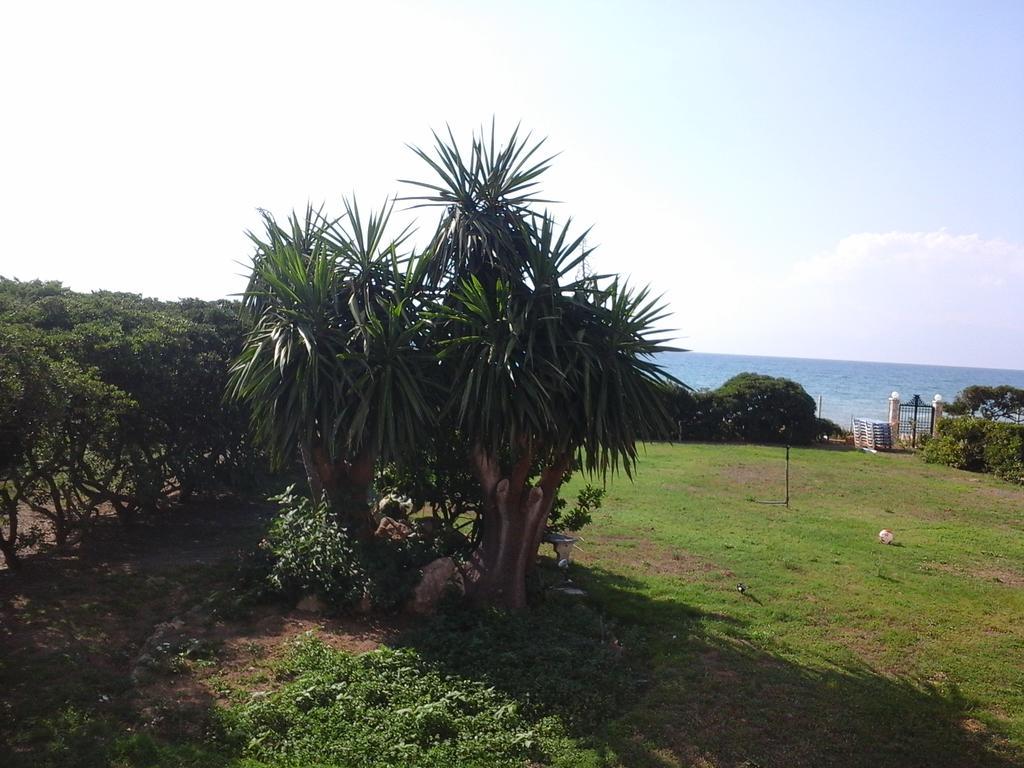Akti Anastasia Acharavi (Corfu) Exterior foto